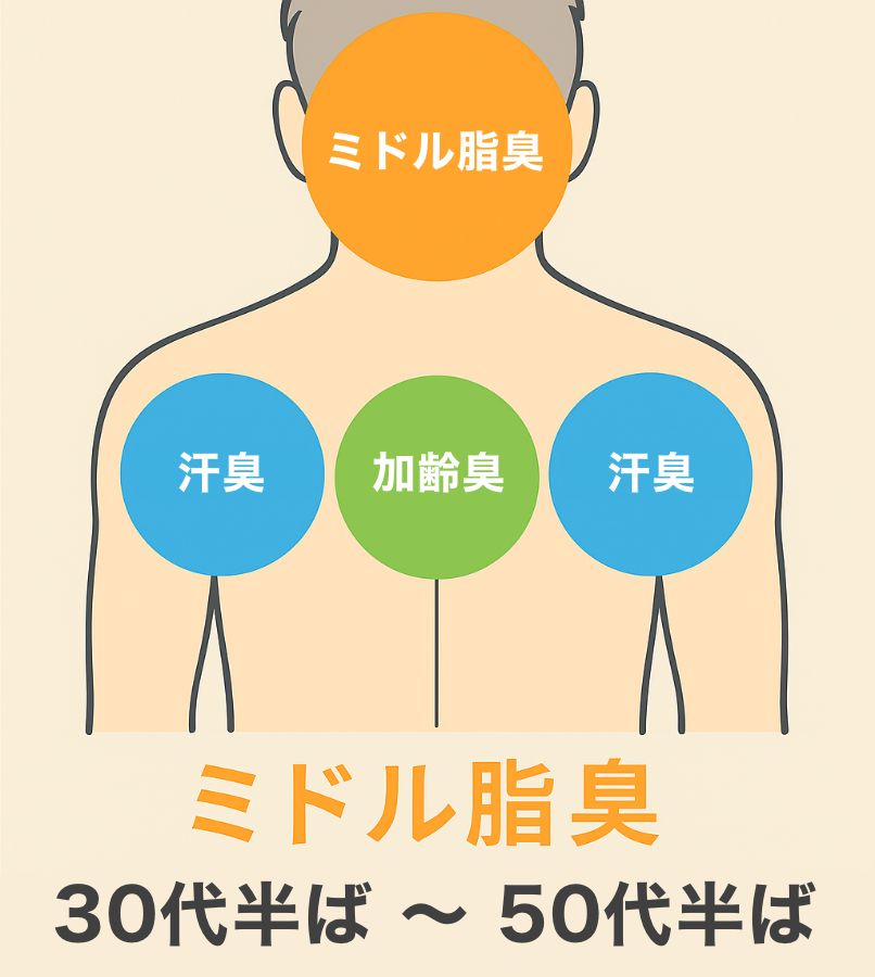 ミドル脂臭:30代半ば